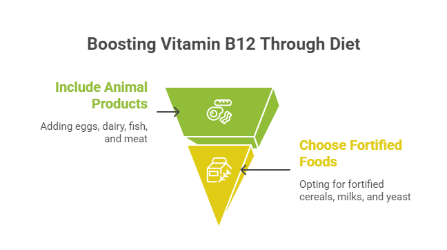 b12 rich food