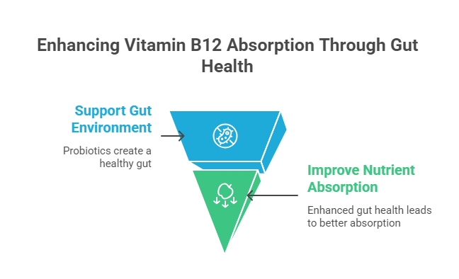gut health